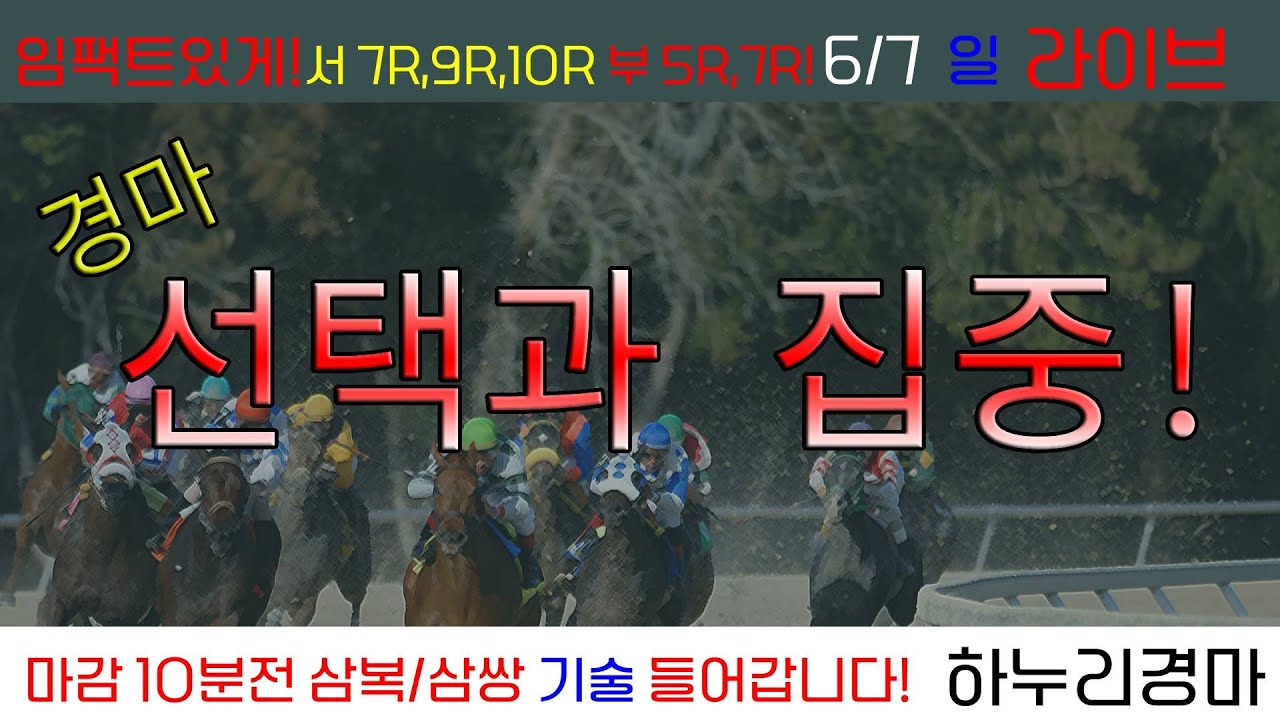 6/7(일) 경마 선택과 집중! A급 강력추천 준비! 토요상승세!! 일요일도!!! 경주별 삼복/삼쌍 기술 들어갑니다!!