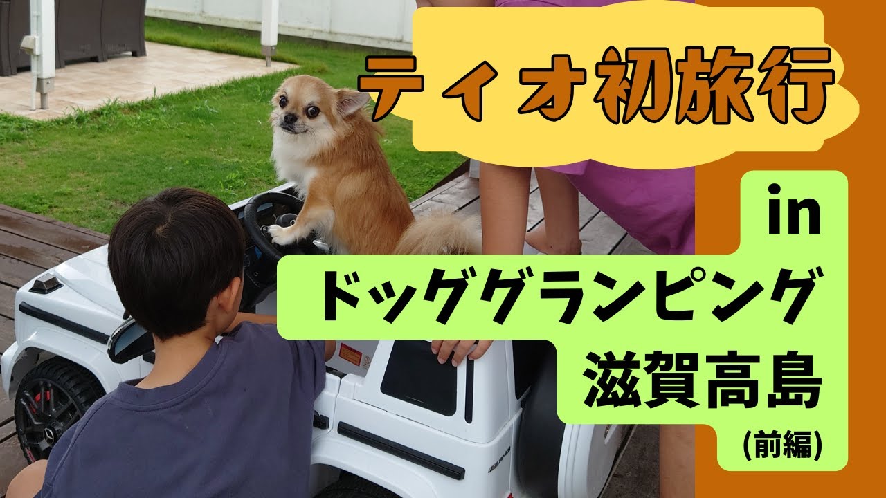 チワワ★ティオと初めての旅行【前編】黒壁スクエア・ドッググランピング滋賀高島