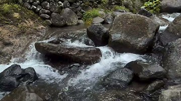 Calming flow of West Java’s rivers for quiet rest, mindful focus, and serene nature ambience