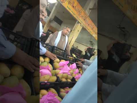 مزاد المانجو واسعار سوق الخضار انواع المانجا واسعار سوق العبور
