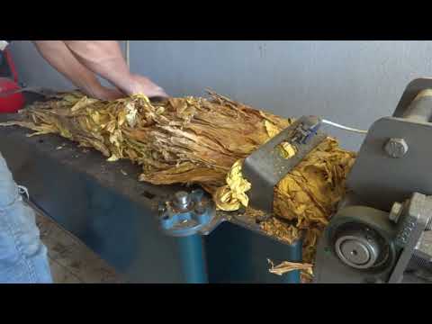 TÜTÜN  DOGRAMA  MAKiNASI  --  GÖVDELi  -- MALATYA --- Tobacco cutting machines Türkiye  2019