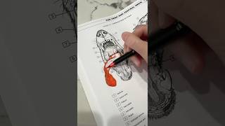 Why You NEED An Anatomy Coloring Book #goodtoknow #vet #medicine #educational #funfacts #lifehacks