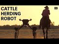 Is This Robot The Future Of Farming? | SwagBot | Robot Dog