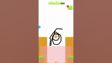 Save the pet#level#132