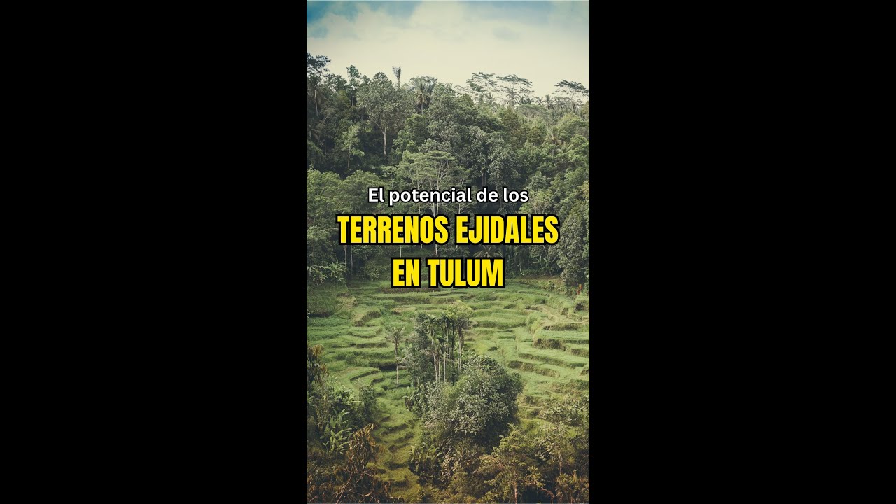 El Potencial de los Terrenos Ejidales en Francisco Uh May, Tulum