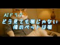 【AIドラマ】どう見ても猫じゃない俺のペットは猫 part1 #AIドラマ #ai 猫動画 #ショートドラマ