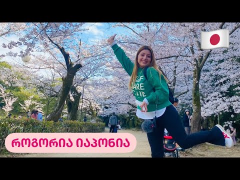 ვიდეო: ცხოვრების ღირებულება იაპონიაში