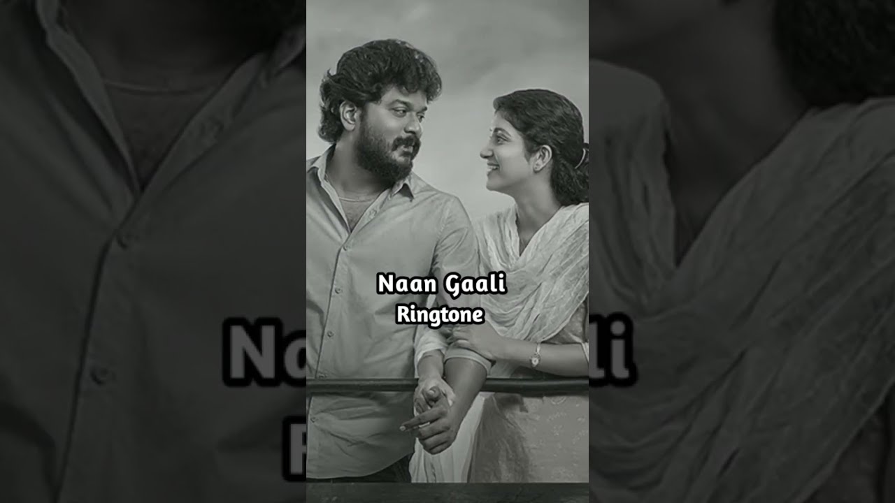 Naan Gaali ringtone  Good night  Sean Roldan