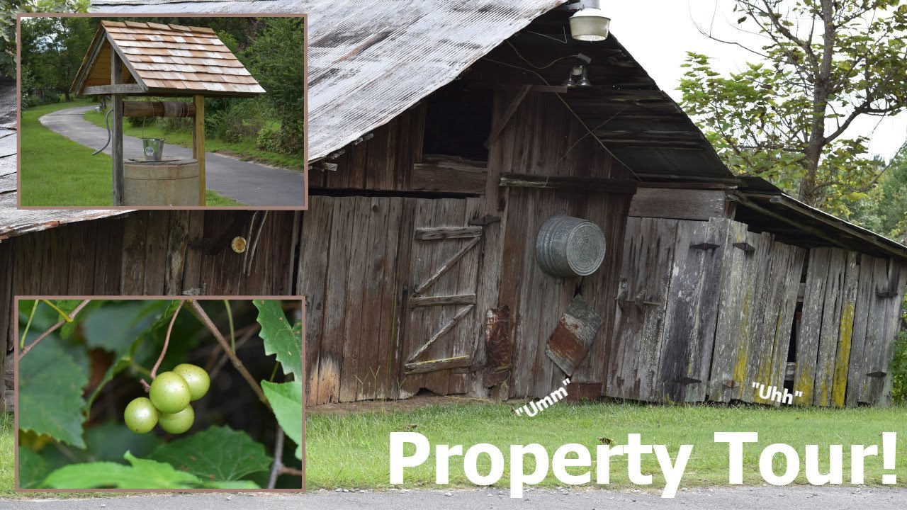 The Alabama Homestead Property Tour YouTube