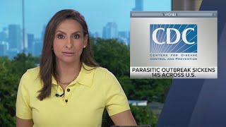 CDC seeks source of parasitic outbreak linked to ‘explosive’ diarrhea in Illinois, other states