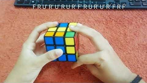 Full pll malayalam Y perm l Abhinav AP