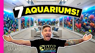 This guy Turned his House Into a Fish Store!!!