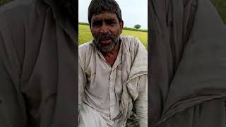 Janu Sarpanch Adbar Jela Mewat