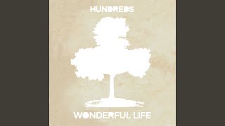 Wonderful Life