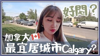 加拿大VLOG 7 短短2天Calgary做了什麼加拿大最宜居城市? 在加拿大其他城市不要Shopping?!   Mira 咪拉