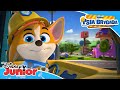 🐾 Ciiii pieski | Psia brygada | Disney Junior Polska