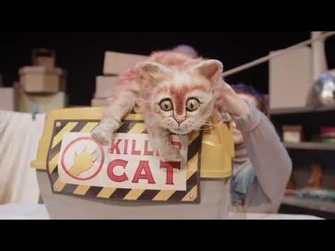 Scaredy Cat - Terrapin Puppet Theatre