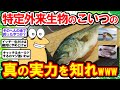 【2ch面白いスレ】特定外来生物のこいつ…本当はめちゃくちゃ〇〇な件について…ww【2chゆっくり解説】