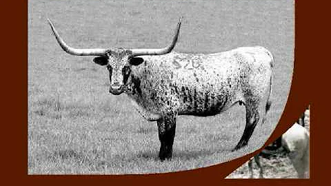 John Simpson Chisum Cattle King of the Pecos