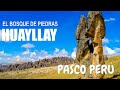 PERU, el Bosque de Piedras Huayllay - Pasco | Landscapes