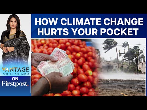 Explained: How Climate Change is Making Inflation Worse | Vantage with Palki Sharma