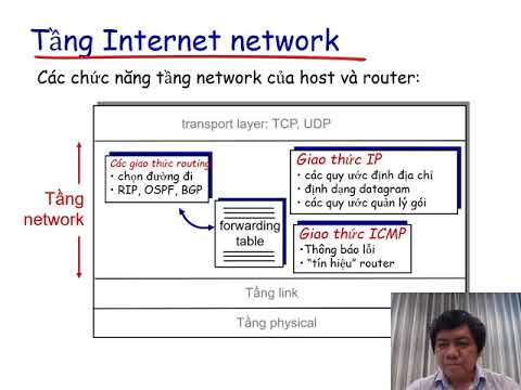 Video: Có thể viết chương trình ping trong Java bằng tin nhắn ICMP không?