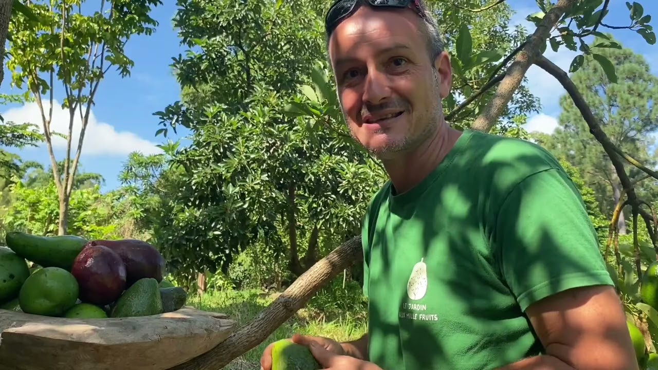 L’ AVOCAT 🥑 et sa culture