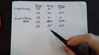Punnett Practice #6 How To Write It