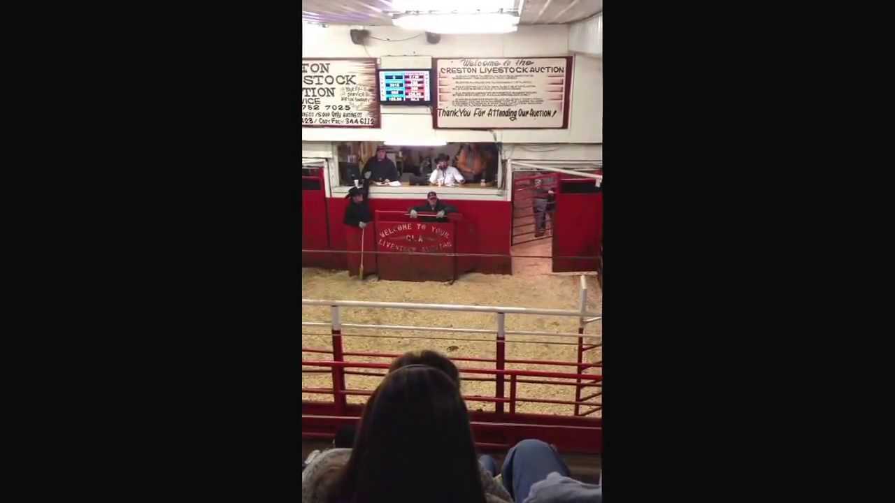 Brandon Frey- Creston, Iowa(captured by Hartstackinc.com)