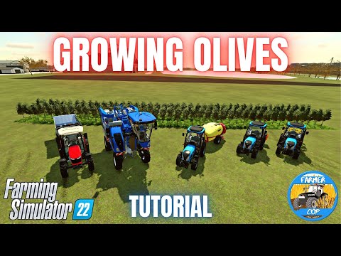 Guide To Olives - Farming Simulator 22