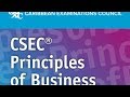 Learn High School Principles of Business: Functions and Responsibilities of Management