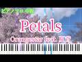 【中級アレンジ】Petals / Orangestar ピアノソロ中級 【楽譜あり】