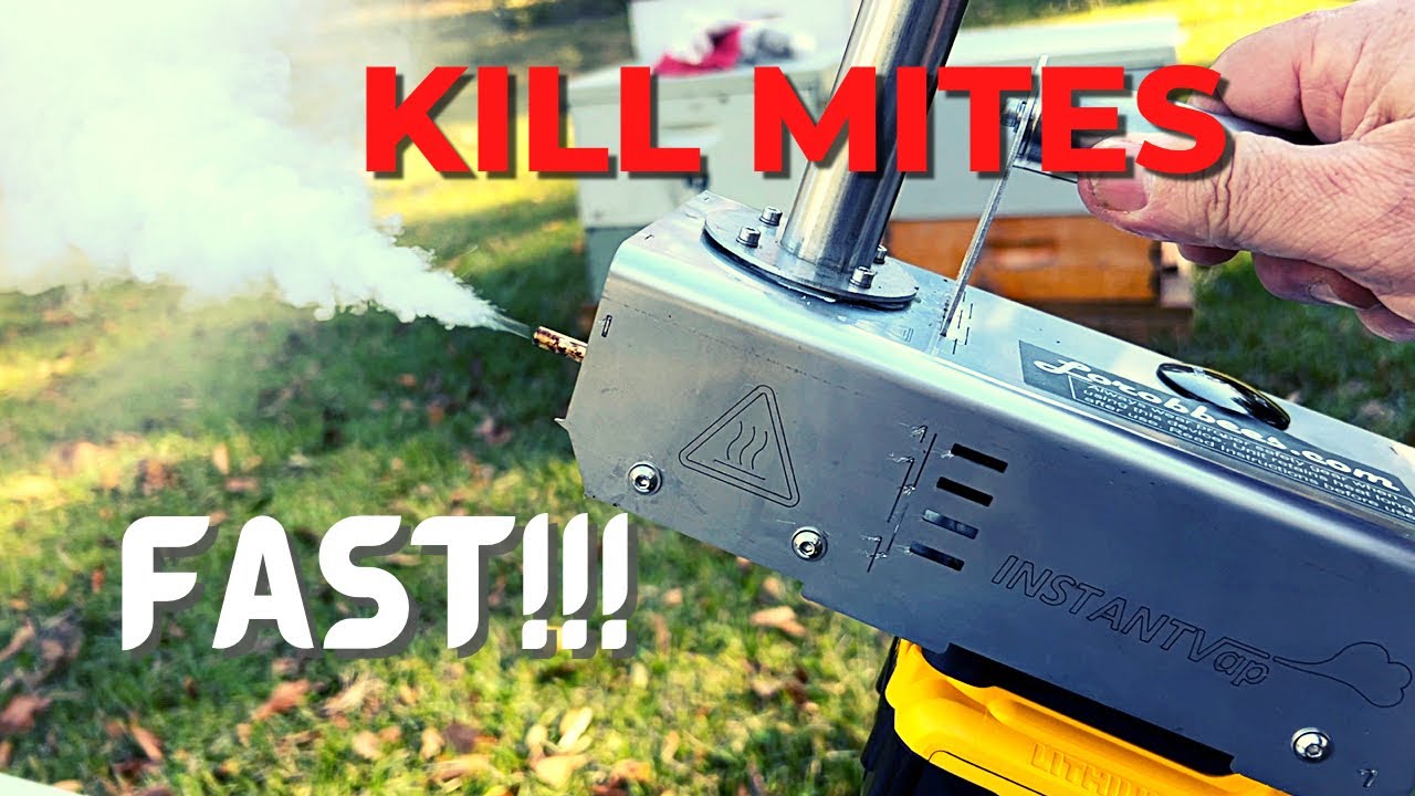 AMAZING Oxalic Acid VAPORIZER! Kill Mites FAST!!! (Cordless)