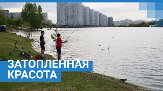 Затопленные красоты Красноярска | NGS24.ru