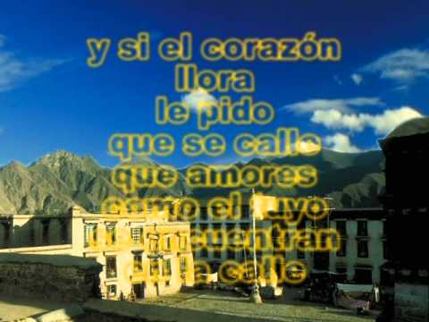 Karaoke Hector Lavoe - Amor De La Calle