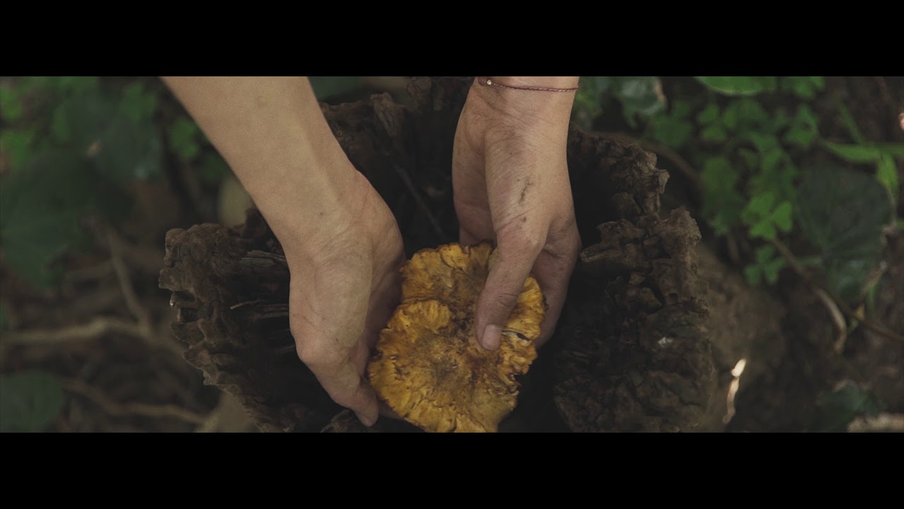 FORAGE SF Women version