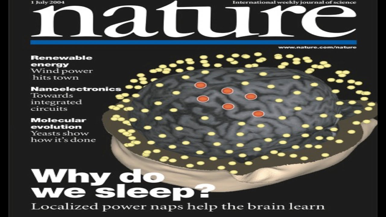 Plasticità corticale e differenze regionali uso-dipendenti