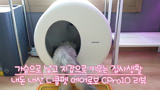 가슴으로 낳고, 지갑으로 키우는 집사생활 신상 자동화장실 언박싱  | Tera FAM Stroy | 엄마밥줘 |  고양이일상 자동화장실 언박싱