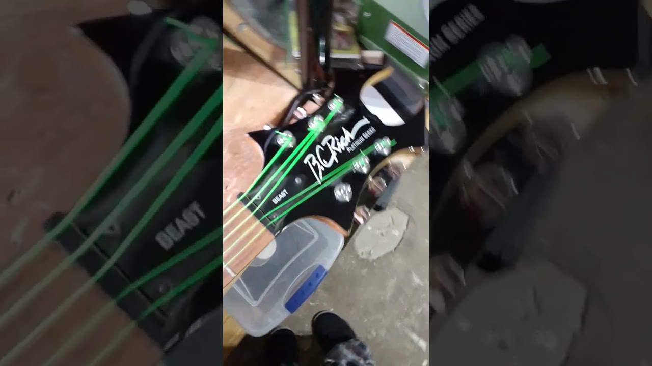 B.c Rich platinum series beast