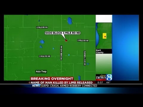 Man killed while cutting down tree