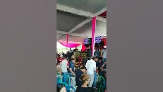 golden star talang jambe