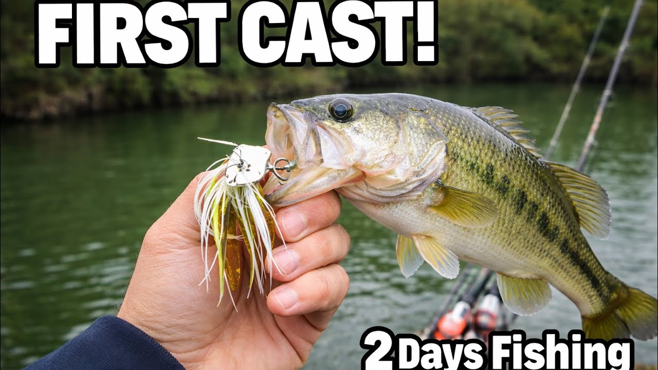 FISHING WITH FREIDS, BIG BASS #Fishing #BassFishing #FishingLife #FishingDaily #BassFishingLife