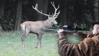 deer hunting | ed stag or archery elk | kill shot red stag in the rutting season| ep # 29