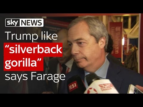 Trump like 'silverback gorilla' says Farage