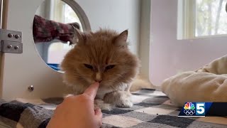 Pet Connection: May 16, 2024