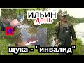 2 АВГУСТА. РЫБАЛКА. ЩУКА - ИНВАЛИД.