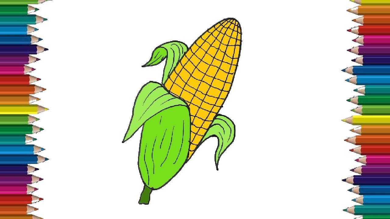 How to draw-A corn drawing step by step