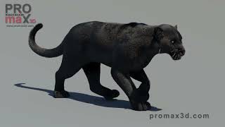 Animated Black Panther 3D Model with Fur for Download | PROmax3D