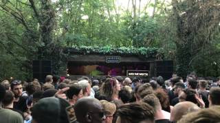 Praslea @ Junction 2 - Into The Woods 2017