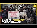 South Korea endorses bill to ban breeding, slaughtering of dogs | Latest English News | WION